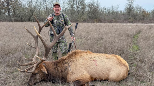 Bowhunter with trophy bull elk on dry grassland, Rocky Mountain elk hunting scene
