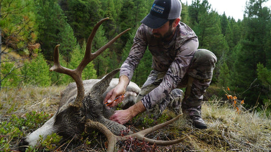 Hunter field dressing a harvested deer in a forest – Authentic backcountry hunting scene.